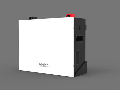 Dyness 5.12kWh Lithium ion Battery