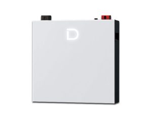 Dyness DL5 Pro 5.12kWh 51.2V LiFePO₄ Wall-Mount Battery