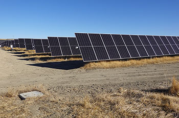 Large-Scale Solar Projects