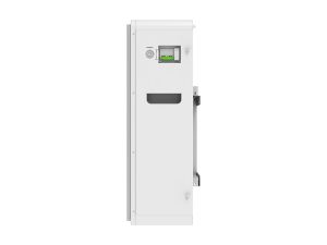 Felicity Solar FLA48200 Battery